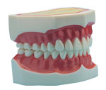 dec_health_teeth