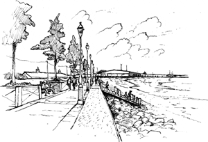 may.streetcar