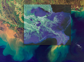 oct.biz.coast-erosion