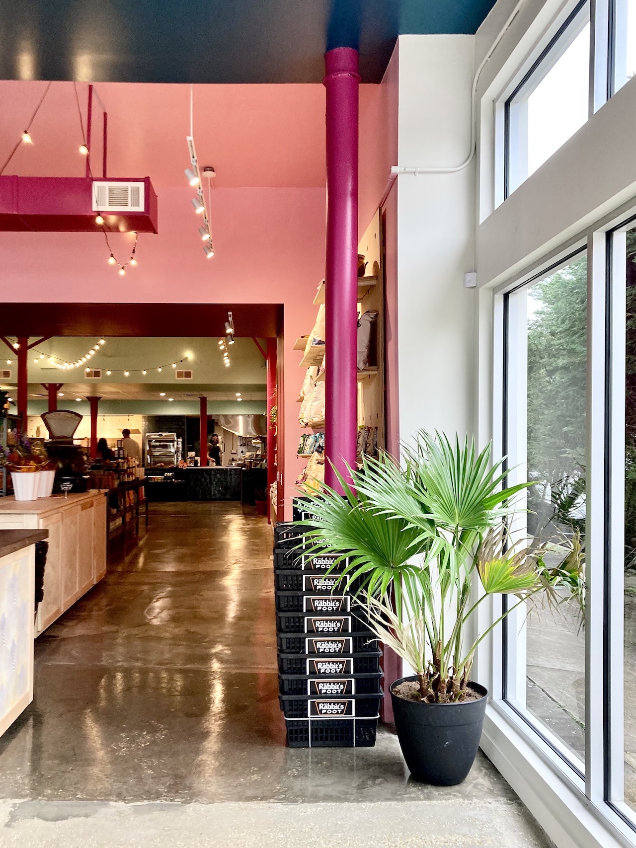 New Orleans' Bougie Bodega - Vimarsana News