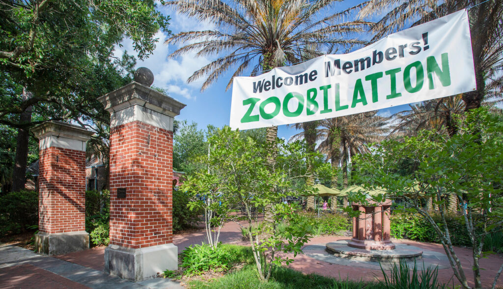 ZOObilation MemberOnly Event at Audubon Zoo