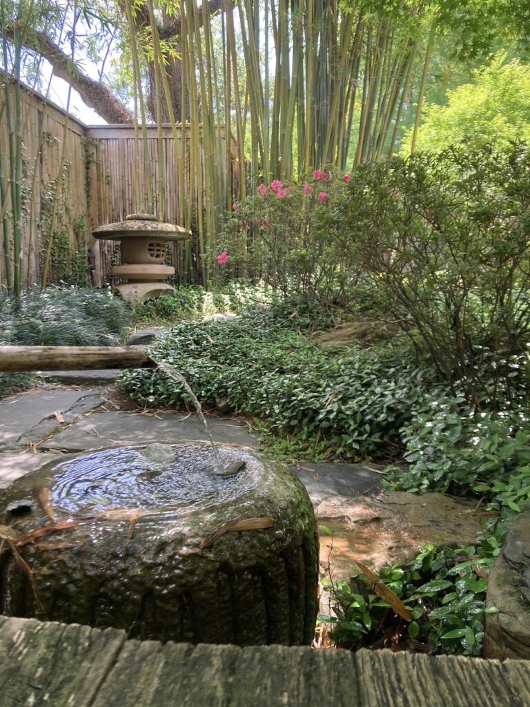 Spring Reset Spring Reset