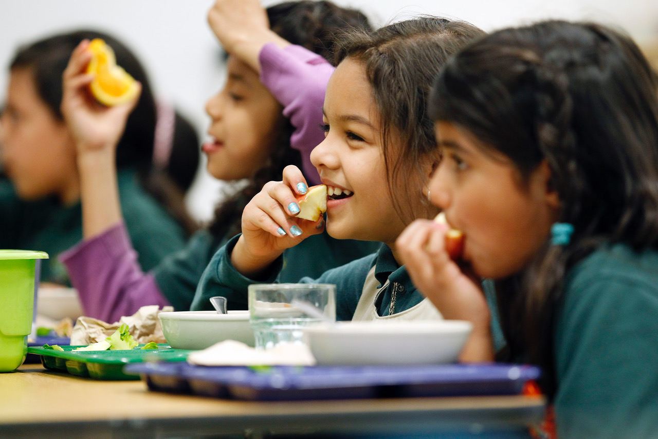 Emeril Lagasse Foundation Plants Newest Culinary Garden & Teaching Kitchen - Vimarsana News