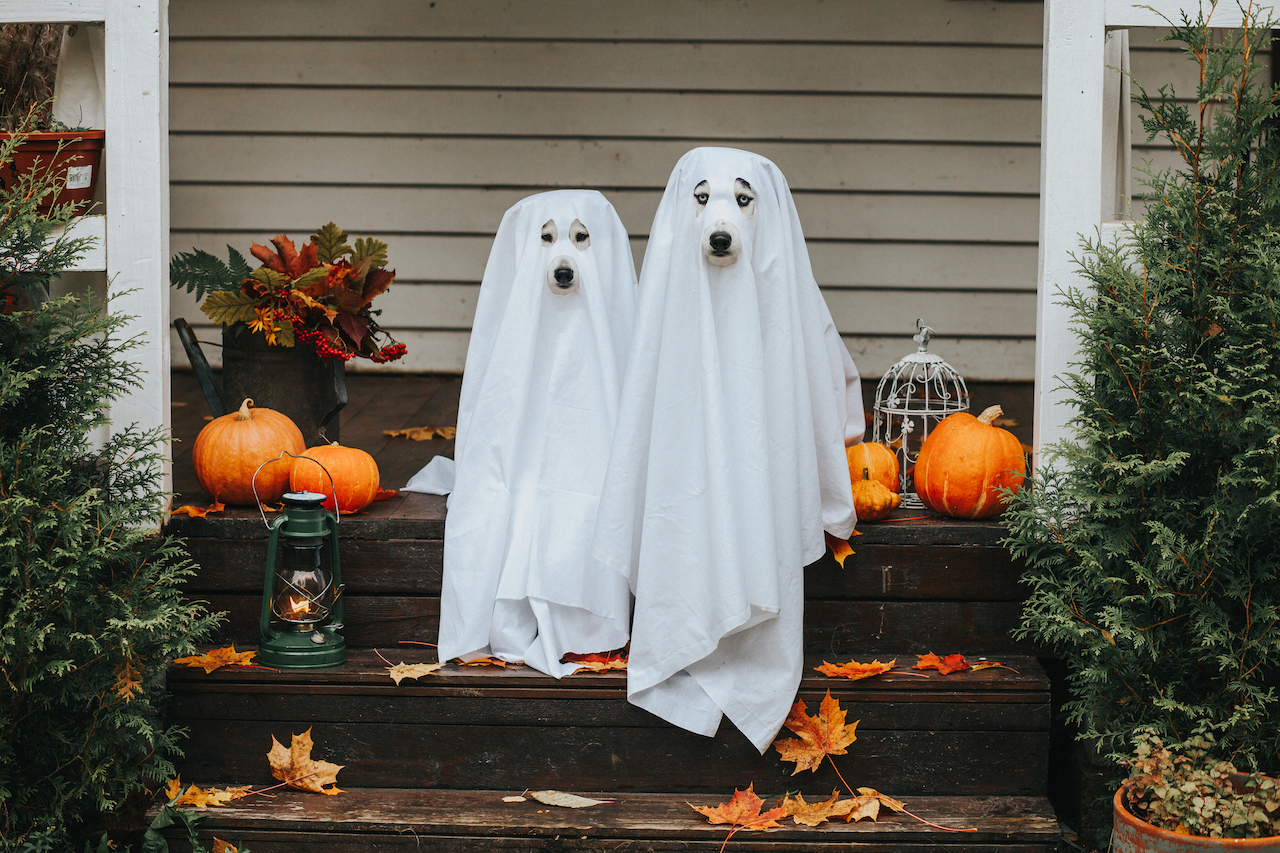 The Best Halloween Costumes - Vimarsana News