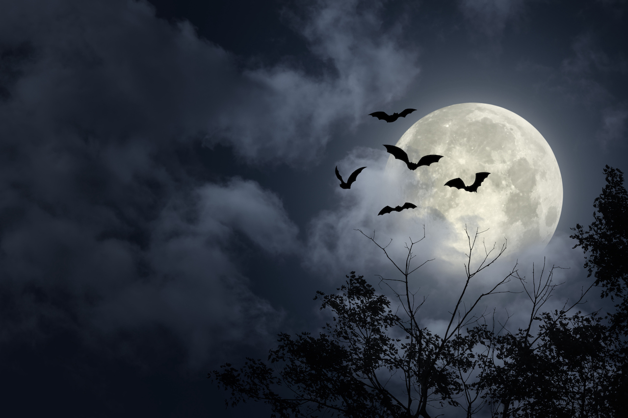 Week of October 3: Scary-fun and Fall Fests - Vimarsana News