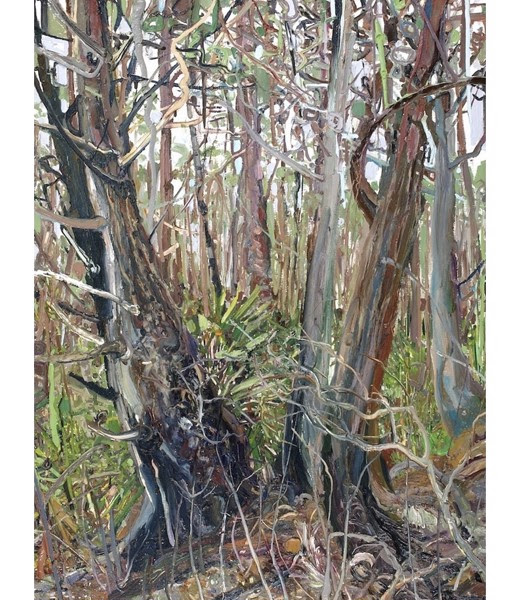 IBIS Contemporary Art Gallery to host Hannah Chalew - Vimarsana News