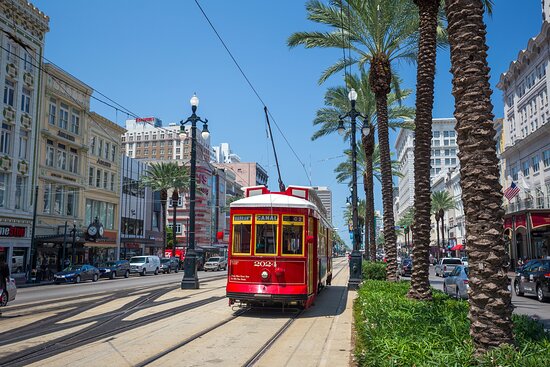 New Orleans Wins Tripadvisor Best of the Best - Vimarsana News