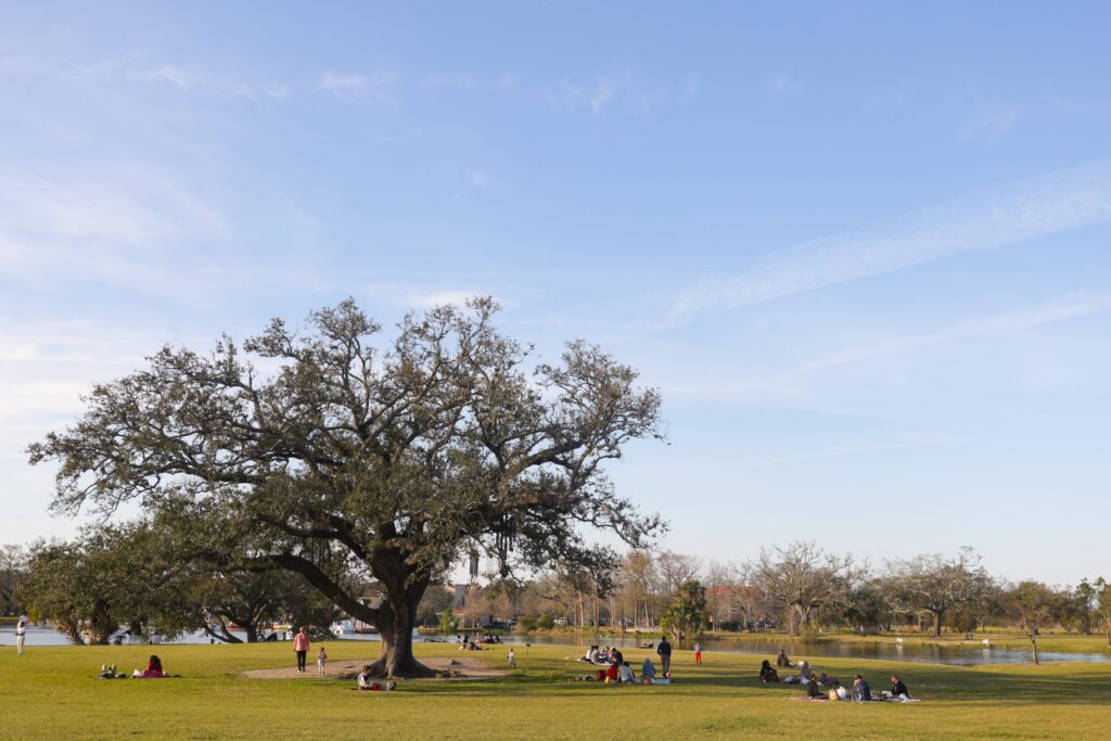 Week of April 3: Crescent City Classic and Picnics in the Park - Vimarsana News