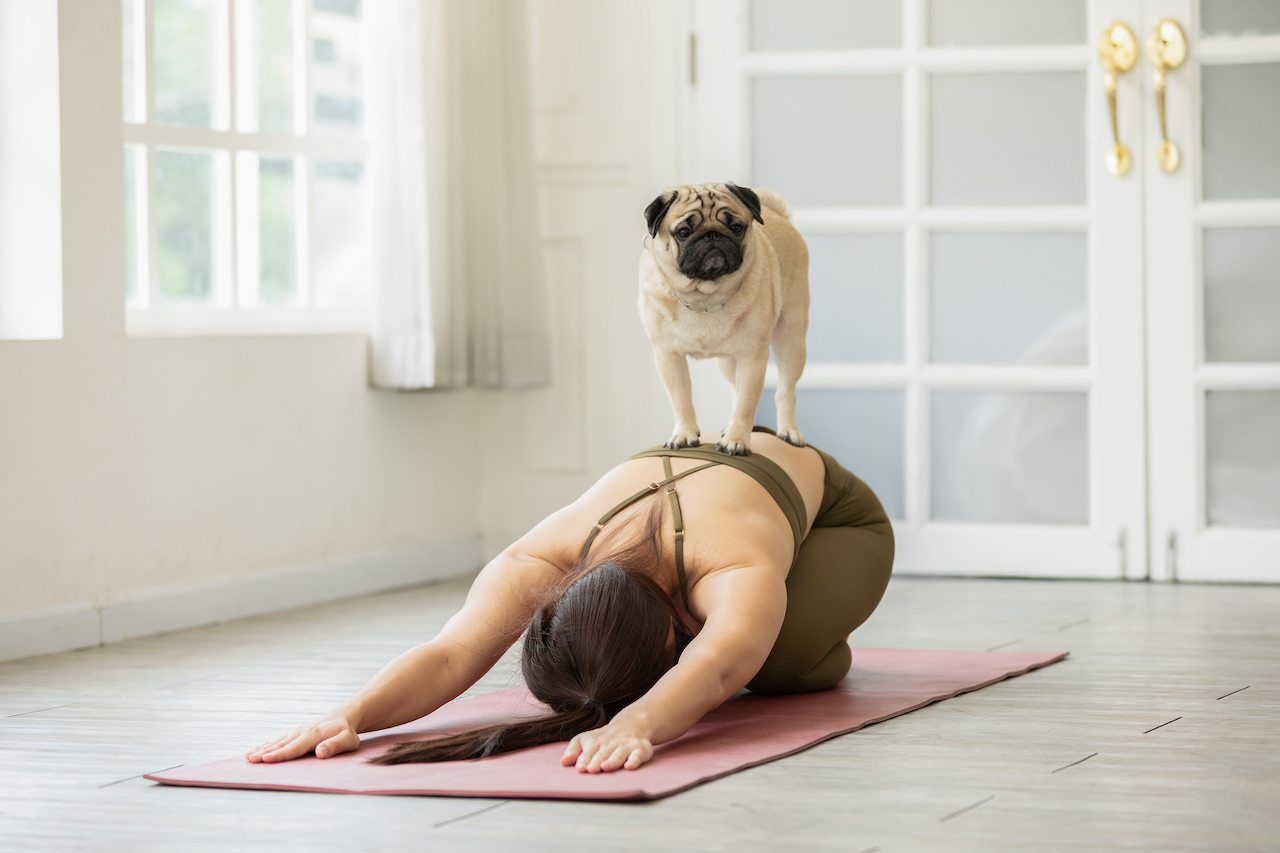 5 Active Bachelorette Outings in New Orleans - Vimarsana News