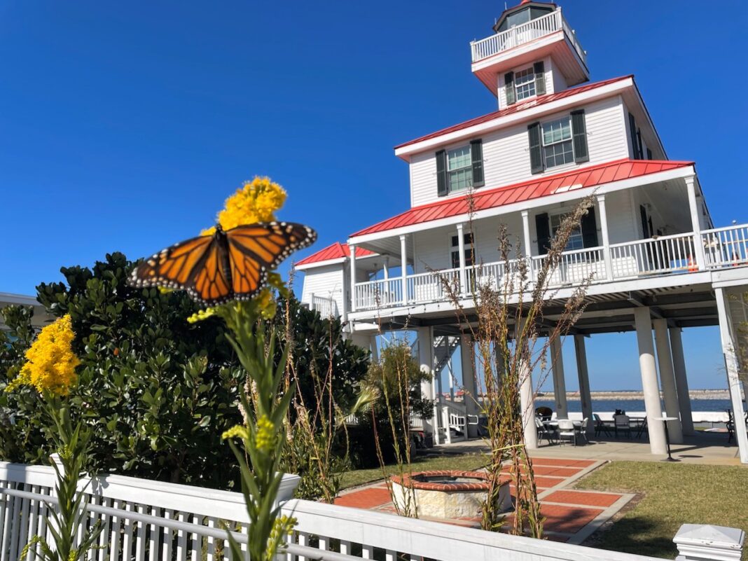 Pontchartrain Conservancy Offers Summer Mini Camp at the Lighthouse