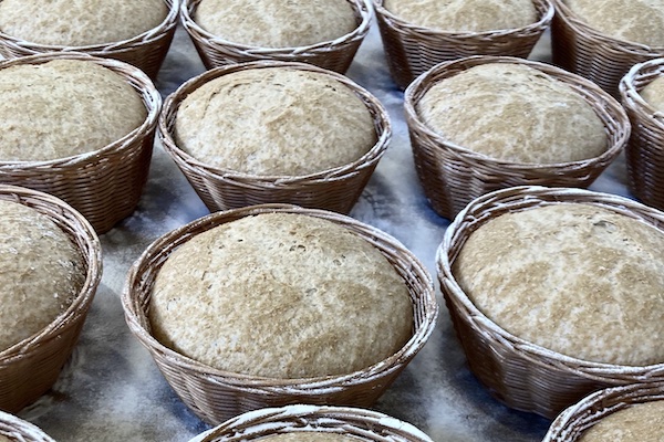 Baking Gut-Healthy Homemade Sourdough Bread - Vimarsana News